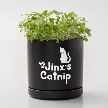 Cricut Joy Xtra Smart Vinyl Öntapadós fólia - visszaszedhető Removable 9.5 Inch x 3 ft Matte White (1 ív)