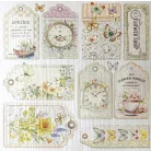 Ciao Bella Flower Shop Papírkészlet 6" (15 cm) Deluxe Paper Pearl (5 ív)