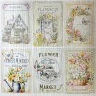 Ciao Bella Flower Shop Papírkészlet 6" (15 cm) Deluxe Paper Pearl (5 ív)