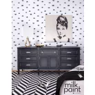 Fusion Milk Paint bútorfesték Little Black Dress Tejfesték (330 gr)