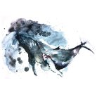 Kuretake Tinta FLUID GRAFIT (1 db)