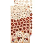 Craft O'Clock Kivágóív Autumnaria Mix Extras to Cut Set (18 ív)