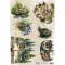 Alchemy of Art Rizspapír A4 - Tales of Moss and Fern - 1 - Rice Paper (1 ív)