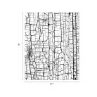 Tim Holtz Díszítőelem Collage Paper Idea-ology Tim Holtz Halloween (1 csomag)