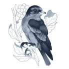 Copic Dark Cool Gray grafikai filctoll készlet  Copic Ciao "SHADE" Set (4 db)