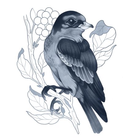 Copic Dark Cool Gray grafikai filctoll készlet  Copic Ciao "SHADE" Set (4 db)