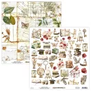 Mintay Papers Academia Scrapbook papírkészlet  Collection Set 12" (30 cm) 12 lap
