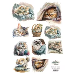   Alchemy of Art Rízspapír A4 - Cats - Macskák - Rice Paper (1 ív)
