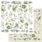 Alchemy of Art Kivágóív 12" (30 cm) Gentleness Flowers Art Alchemy Double-sided paper (1 ív)