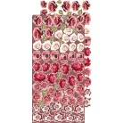 Craft O'Clock Kivágóív Savor the Moment Flowers & More Extras to Cut Set (18 ív)