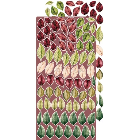 Craft O'Clock Kivágóív Savor the Moment Flowers & More Extras to Cut Set (18 ív)