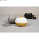 Rayher Szilikon öntőforma 3D tök, tetővel (1 db)