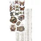 Alchemy of Art Kivágóív 6"x12" (15cm x 30 cm) Natural Beauty Extras to Cut Set (1 csomag)