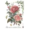 Stamperia Best Sellers Rizspapír A4 Big rose Rice Paper (1 ív)
