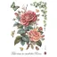 Stamperia Best Sellers Rizspapír A4 Big rose Rice Paper (1 ív)