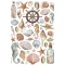 Stamperia Best Sellers Rizspapír A4 Shells Rice Paper (1 ív)