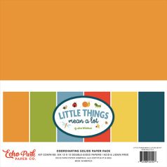   Echo Park Little Things Mean A Lot Papírkészlet 12" (30 cm) Coordinating Solids Paper Pack (6 lap)
