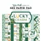 Echo Park Lucky Charm Scrapbook papírkészlet 6" (15 cm) Paper Pack (24 lap)