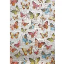 Ciao Bella Majestic Dream Papírkészlet A4 Deluxe Paper Pearl (5 ív)