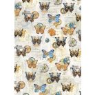 Ciao Bella Esprit de Voyage Vellum papírkészlet A4 Vellum Paper Patterns (6 ív)