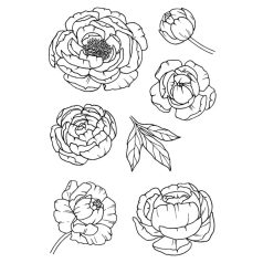   Jane's Doodles Peony Szilikonbélyegző Clear Stamp Set (1 csomag)