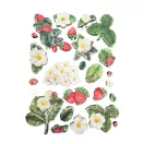 Stamperia Hidden Grove Szilikon öntőforma A5 Strawberries Silicon Mould (1 db)