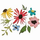 Sizzix Vault Floristry Vágósablon és dombornyomó mappa Tim Holtz Sidekick Side Order(1 csomag)