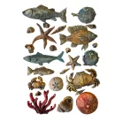 Stamperia Silent Sea Szilikon öntőforma A5 Shells and fish Silicon Mould (1 db)