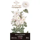 Papers For You Roses Transzfer fólia Decor Transfers 6"X12" (15x30cm) 4 ív