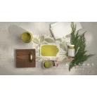 Fusion Alchemy Willow Krétahatású bútorfesték (500 ml)