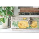 IOD Rose Botanical Transzfer fólia 12"X16" (30x40 cm) IOD Decor Transfer (8 ív)