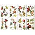 IOD Catharina Transzfer fólia 8"X12" (20x30 cm) IOD Decor Transfer (8 ív)