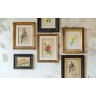 IOD Catharina Transzfer fólia 8"X12" (20x30 cm) IOD Decor Transfer (8 ív)