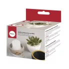 Rayher Szilikon öntőforma Bordárs dísztál (1 db)