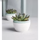 Rayher Szilikon öntőforma Bordárs dísztál (1 db)