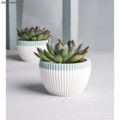 Rayher Szilikon öntőforma Bordárs dísztál (1 db)