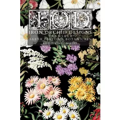   IOD Sarah Featon’s Botanicals – New Summer 2025 Transzfer fólia 8"X12" (20x30 cm) IOD Decor Transfer (8 ív)