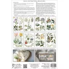 IOD Sarah Featon’s Botanicals – New Summer 2025 Transzfer fólia 8"X12" (20x30 cm) IOD Decor Transfer (8 ív)