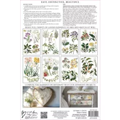   IOD Sarah Featon’s Botanicals – New Summer 2025 Transzfer fólia 8"X12" (20x30 cm) IOD Decor Transfer (8 ív)