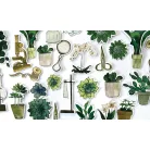 Botany Boutique Chipboard díszítőelem Craft Consortium Chipboard Ephemera (1 csomag)