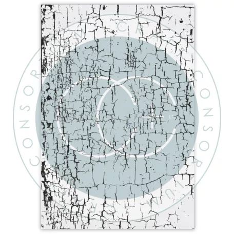Fotopolimer bélyegző Cracked Surface Craft Consortium A6 Clear Photopolymer Stamps (1 csomag)