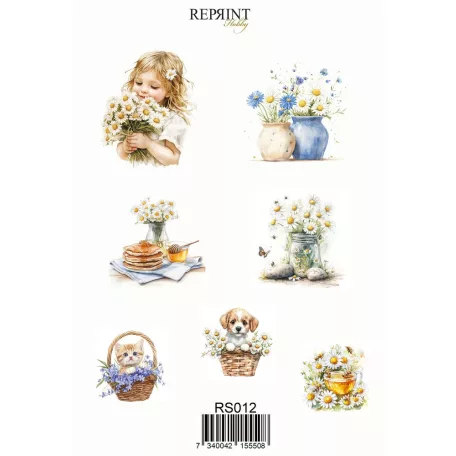 Matrica 10x20cm - Daisies - Reprint Stickers (1 ív)