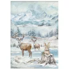 Stamperia The Owl's House Rízspapír készlet A4  Rice Paper Selection (6 ív)