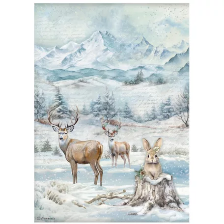 Stamperia The Owl's House Rízspapír készlet A4  Rice Paper Selection (6 ív)