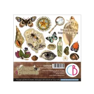   Ciao Bella Cabinet of Curiosities Kivágóív készlet 6" (15 cm) Fussy Cut Pad (24 ív)