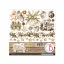 Ciao Bella Winter Season Kivágóív készlet 6" (15 cm) Fussy Cut Pad (24 ív)