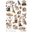 Ciao Bella Forest Tales Rizspapír A4 Forest Companions Rice Paper (1 ív)