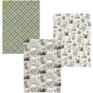   Ciao Bella Forest Tales 3 delux és 3 vellum papír A4 Deluxe & Vellum Dual Pack (6 ív)