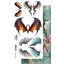 Alchemy of Art Kivágóív 6"X12" (15x30 cm) The Legends Of The Dragons Dragons Double-sided paper (1 ív)