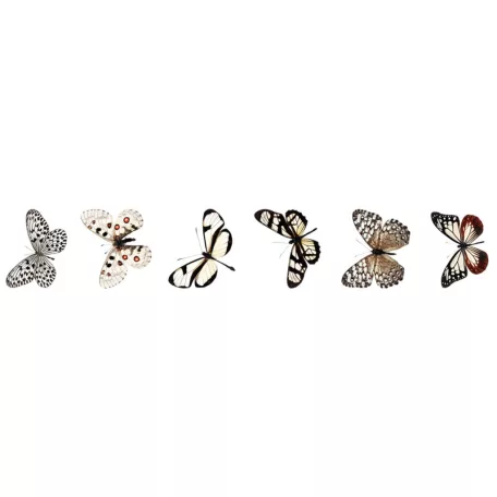 Studio Light Butterfly Átlátszó matricák Grunge Transparent Stickers on Roll (1 db)